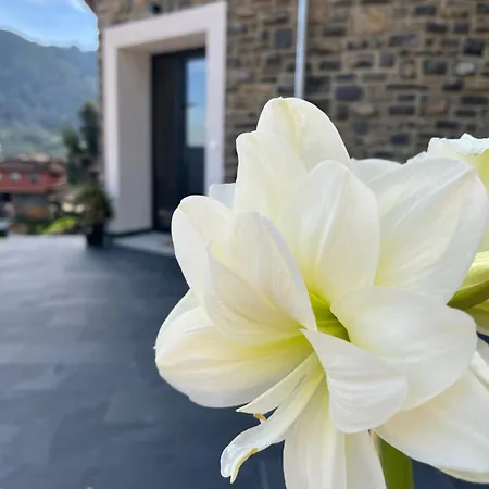 Daire Rurales El Solsuco Casa Mariacarlos *