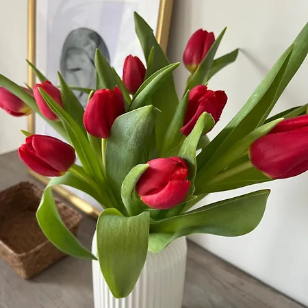 Rurales El Solsuco Casa Mariacarlos * Villaviciosa (Asturias)